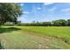 Fenced backyard featuring expansive green space and wooded scenery, providing a private and serene outdoor retreat at 2719 Wilder Trace Ct, Plant City, FL 33566
