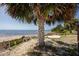 Calm beach scene featuring a palm tree, sand, and clear waters, ideal for a relaxing coastal getaway at 350 Kentucky Ave, Crystal Beach, FL 34681