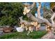 Unique tree with heart-shaped decorations and a bucket, creating a charming and whimsical park feature at 350 Kentucky Ave, Crystal Beach, FL 34681