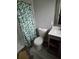 Bathroom featuring toilet, vanity and walk-in shower at 3614 E Grove St, Tampa, FL 33610
