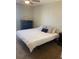 Cozy bedroom featuring neutral walls, plush carpeting, and a comfortable bed at 5155 9Th N Ave # 311, St Petersburg, FL 33710