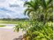 Serene backyard view overlooking a tranquil lake, palm trees, and lush greenery, providing a peaceful setting at 9860 Smarty Jones Dr, Ruskin, FL 33573