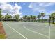 Outdoor basketball court with mature landscaping, metal fencing, and views of the lake in the community at 9860 Smarty Jones Dr, Ruskin, FL 33573
