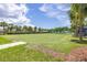 Large lawn with mature landscaping and views of the lake for the residents of the community at 9860 Smarty Jones Dr, Ruskin, FL 33573