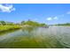 Scenic shot of the community dock, perfect for boating, fishing, and watching sunsets over the calm waters at 1242 Windy Bay Shl, Tarpon Springs, FL 34689