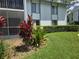 Building exterior showcasing well-maintained landscaping with vibrant plants and lush green grass at 1281 Pine Ridge E Cir # B1, Tarpon Springs, FL 34688