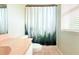 Bathroom featuring a toilet, sink vanity, and shower with nature curtain at 1423 Birchstone Ave, Brandon, FL 33511