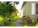 Side yard with a row of palm trees leads to the back of the property and shows a partially fenced in area at 1423 Birchstone Ave, Brandon, FL 33511