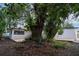 Backyard featuring mature tree, deck and modern home exterior at 1506 Winding W Way, Clearwater, FL 33764