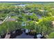 Aerial view of luxury homes with private boat docks, swimming pools and mature trees at 16205 Sentry Woods Ct, Odessa, FL 33556