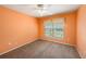 Cozy bedroom with neutral carpet, a ceiling fan, a window, and orange-painted walls at 1914 Sassafras Dr, Wesley Chapel, FL 33543