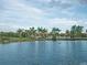 Scenic view of a serene lake surrounded by lush palm trees and residences at 2333 Feather Sound Dr # B609, Clearwater, FL 33762