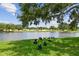 A serene pond reflecting the beautiful sky, surrounded by green grass and a gathering of ducks at 4211 28Th N Ave, St Petersburg, FL 33713