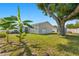 Backyard featuring a large shade tree and exterior view of the house at 7210 14Th N St, St Petersburg, FL 33702