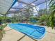 Screened-in swimming pool with lush tropical landscaping and outdoor seating at 7211 Red Oak Loop, New Port Richey, FL 34654