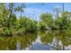 Scenic view of the calm canal waters surrounded by lush green vegetation on a sunny day at 9107 Brunswick Ln, Tampa, FL 33615