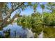 Picturesque canal view surrounded by lush greenery, creating a tranquil waterfront setting at 9107 Brunswick Ln, Tampa, FL 33615