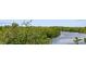 Scenic view of the river surrounded by lush green trees and vegetation at 9107 Brunswick Ln, Tampa, FL 33615