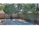 A spacious backyard with a full wooden fence, lush trees, and a large concrete patio at 10024 Cedar Dune Dr, Tampa, FL 33624
