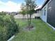 Expansive backyard featuring a lush lawn and newly planted trees, ideal for outdoor activities at 10864 Banyan Breeze Blvd, Land O Lakes, FL 34638