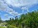 Picturesque backyard view overlooking a pond and lush green trees at 10864 Banyan Breeze Blvd, Land O Lakes, FL 34638