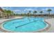 Community pool offers marked lanes, a shallow splash pad, and a lounge area perfect for relaxation at 11619 Cambium Crown Dr, Riverview, FL 33569