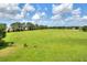 View of acreage with mature trees at 12631 Hobson Simmons Rd, Lithia, FL 33547