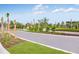Well-manicured street with palm trees and fresh landscaping leading into the Palm Wind community at 13548 Tropical Breeze Way, Hudson, FL 34669