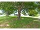 Lush, expansive front yard featuring mature trees, a well-maintained lawn, and a view of the charming residence at 1461 S Hillcrest Ave, Clearwater, FL 33756