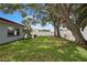 Large, grassy backyard with mature trees, white vinyl fence, and patio space for grilling and relaxing at 1809 Chinaberry Dr, Oldsmar, FL 34677