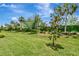 Lush backyard showcasing mature landscaping, including palm trees and manicured bushes at 3060 Mountain Spruce Ter, Wesley Chapel, FL 33543