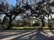 Spacious property lot featuring mature trees draped with Spanish moss, creating a picturesque Southern landscape at 4009 N 15Th St, Tampa, FL 33610