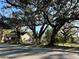 Street view of a home with mature trees providing shade and curb appeal at 4009 N 15Th St, Tampa, FL 33610