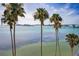 Amazing waterfront view featuring palm trees, the city skyline, and an inviting blue sea at 55 Rogers St # 502, Clearwater, FL 33756