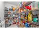 Walk-in pantry with ample shelving, perfect for storing all your groceries and kitchen essentials at 9815 Carabiner Way, Land O Lakes, FL 34637