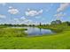 Scenic view of a pond with lush greenery and a bright blue sky at 10430 Crestfield Dr, Riverview, FL 33569