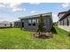 Well-maintained backyard featuring lush green grass and complemented by a newly planted tree at 14523 Swiss Bridge Dr, Lithia, FL 33547