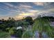 Lush greenery with glimpses of the sky beyond the tropical trees at 160 Shore Dr, Palm Harbor, FL 34683