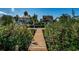 A private wooden dock extending into calm waters, surrounded by lush greenery, perfect for boating and relaxation at 160 Shore Dr, Palm Harbor, FL 34683