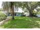 Beautiful backyard with a mature lawn, privacy fence and large shade trees at 1960 Canadiana Ct, Dunedin, FL 34698