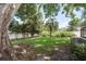 Lush backyard with privacy fence and mature trees and landscaping at 1960 Canadiana Ct, Dunedin, FL 34698
