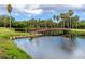 Scenic view of a wooden bridge over a tranquil pond, surrounded by lush greenery and stately palm trees at 2621 Cove Cay Dr # 309, Clearwater, FL 33760