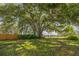 Expansive backyard with mature trees, a fenced yard, and plenty of space for recreation at 310 Arbor E Dr, Palm Harbor, FL 34683
