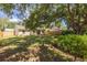 Spacious yard featuring mature trees and lush greenery, providing a serene outdoor space at 310 Arbor E Dr, Palm Harbor, FL 34683