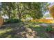 Lush backyard featuring a large shade tree, green grass, and a fenced perimeter for privacy at 310 Arbor E Dr, Palm Harbor, FL 34683