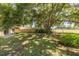 Large backyard featuring a tree, fenced perimeter, and plenty of space for outdoor activities at 310 Arbor E Dr, Palm Harbor, FL 34683