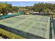 Multiple fenced tennis and pickleball courts with mature trees for shade at 344 Cascade Ln, Palm Harbor, FL 34684