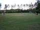 Community field with green space and children playing at 4116 Knollpoint Dr, Wesley Chapel, FL 33544
