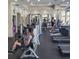 Gym featuring modern exercise equipment and plenty of space at 4116 Knollpoint Dr, Wesley Chapel, FL 33544