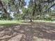 Mature trees on a large lot enhance this serene and private property at 5007 Booth Rd, Plant City, FL 33565